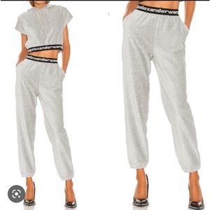 Alexander wang corduroy hoodie and sweatpants set